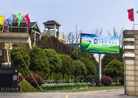 捷報頻傳:湘豐茶業集團榮獲標桿龍頭企業、長沙市現代農業高科技產業化基地稱號 捷報頻傳:湘豐茶業集團榮獲標桿龍頭企業、長沙市現代農業高科技產業化基地稱號