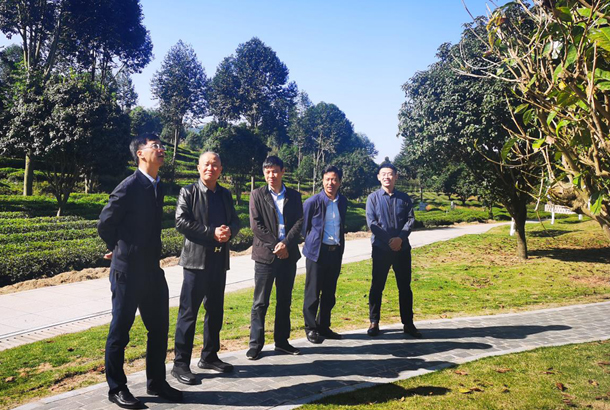 農業(yè)部發(fā)展規(guī)劃司副司長趙曉明一行調研湘豐茶業(yè)集團 農業(yè)部發(fā)展規(guī)劃司副司長趙曉明一行調研湘豐茶業(yè)集團