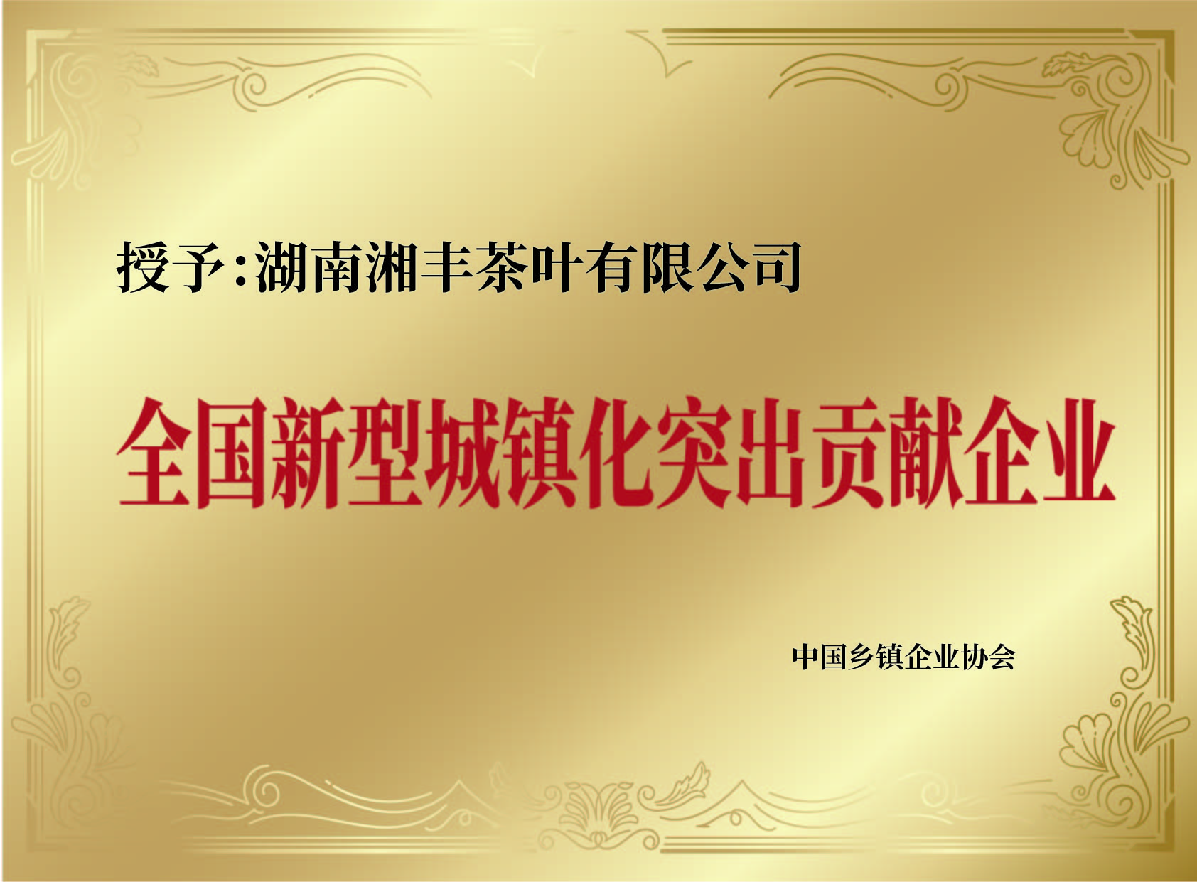 全國新型城鎮化突出貢獻企業