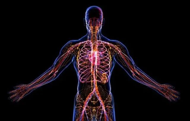 復(fù)旦大學(xué)重磅突破:茶是打通人體經(jīng)絡(luò)最有效的食品 復(fù)旦大學(xué)重磅突破:茶是打通人體經(jīng)絡(luò)最有效的食品