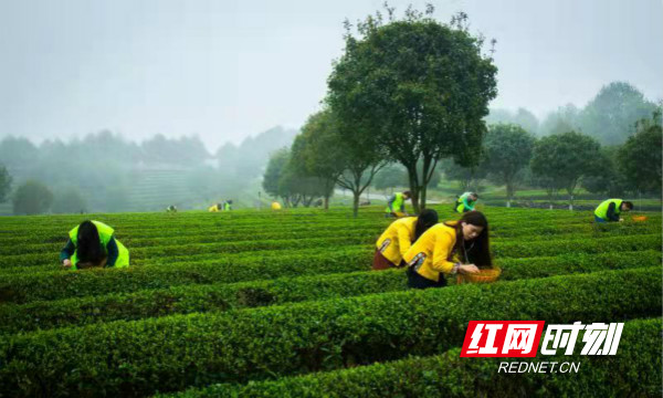 6d87ddf7-9aee-4644-90d1-c99416960eaf.jpg 6d87ddf7-9aee-4644-90d1-c99416960eaf.jpg