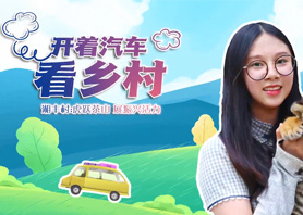 開著汽車看鄉(xiāng)村 |湘豐村:虎躍茶山 展振興活力 開著汽車看鄉(xiāng)村 |湘豐村:虎躍茶山 展振興活力