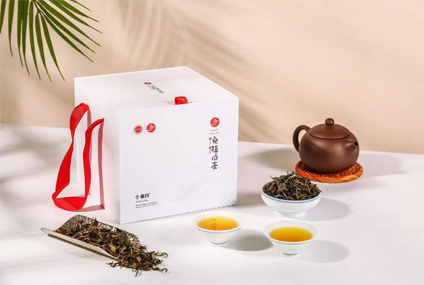 11.jpg.png 11.jpg.png