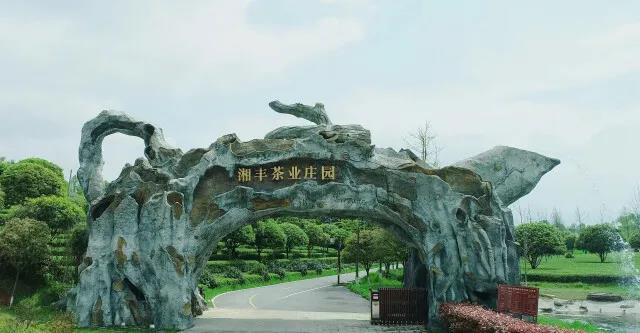 湘豐茶業莊園.jpg 湘豐茶業莊園.jpg