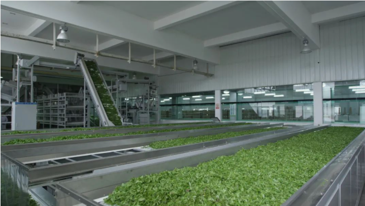 1638256697(1).png 1638256697(1).png