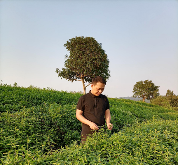 程孝2.jpg.png 程孝2.jpg.png