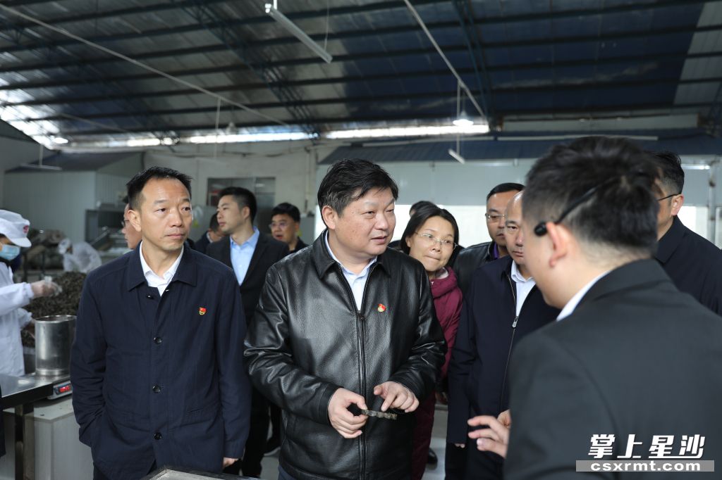 付旭明在湘豐桑植白茶洪家關工廠調研產業發展情況。.jpg 付旭明在湘豐桑植白茶洪家關工廠調研產業發展情況。.jpg