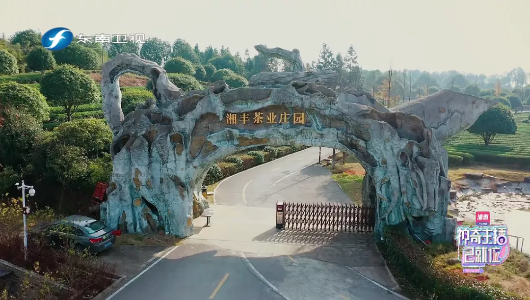 湘豐茶業莊園.png 湘豐茶業莊園.png