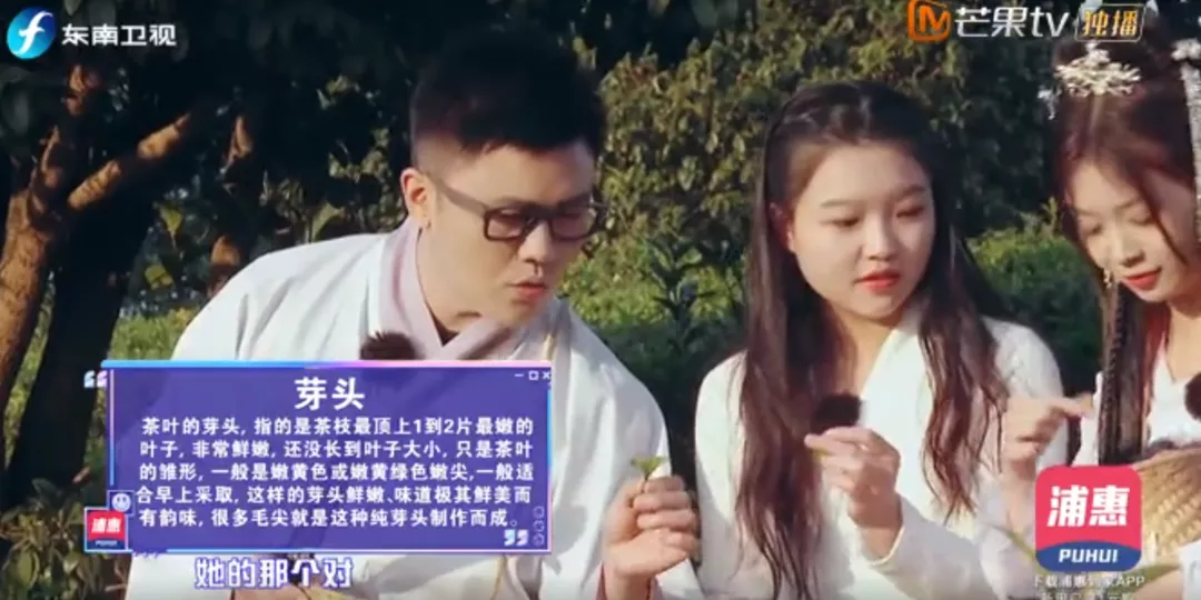 采茶—采摘標準.png 采茶—采摘標準.png