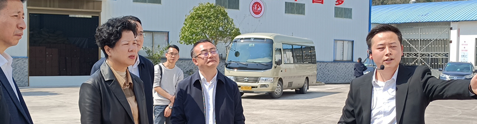 湖南省委常委、副省長張迎春考察調研 湘豐桑植白茶公司