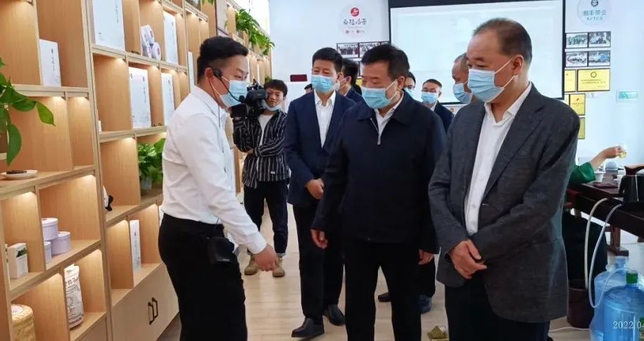 湖南省副省長陳飛帶隊考察調研湘豐桑植白茶公司