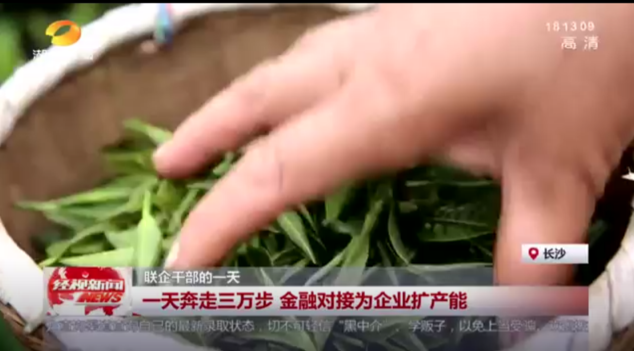 聯(lián)企干部的一天 一天奔走三萬步 金融對接為企業(yè)擴(kuò)產(chǎn)能