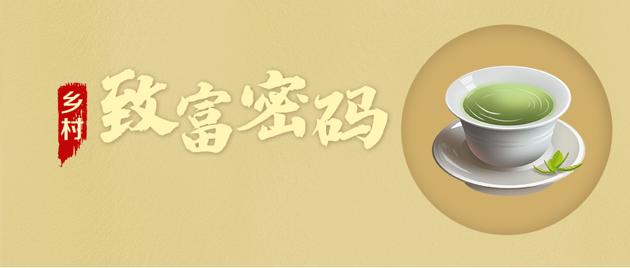 【鄉村振興“星”篇章】鄉村“致富密碼”·金井鎮湘豐村 【鄉村振興“星”篇章】鄉村“致富密碼”·金井鎮湘豐村