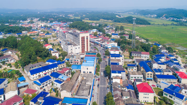 以茶之名 只此青綠 以茶之名 只此青綠