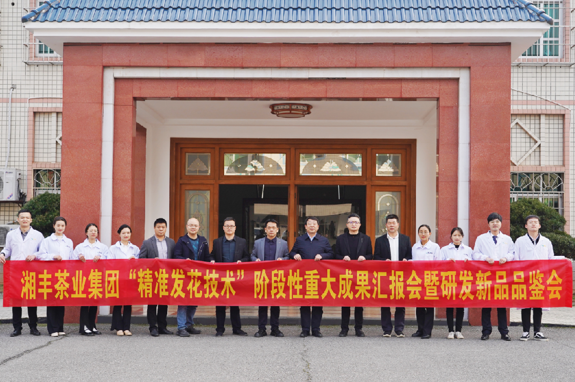 湘豐茶業集團“精準發花技術”取得重大階段性成果! 湘豐茶業集團“精準發花技術”取得重大階段性成果!