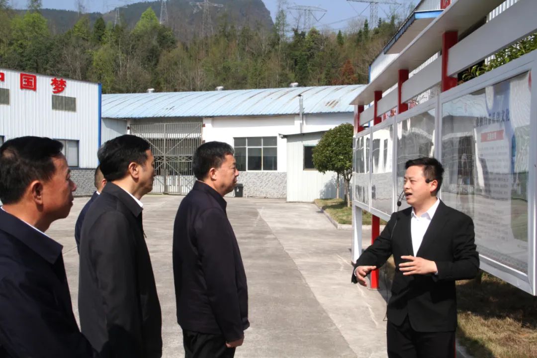 省政協黨組書記、主席毛萬春調研湖南湘豐桑植白茶有限公司