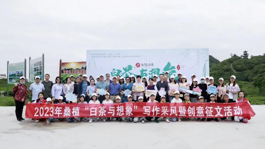 桑植白茶與文學(xué)邂逅 文化賦能茶產(chǎn)業(yè)發(fā)展 桑植白茶與文學(xué)邂逅 文化賦能茶產(chǎn)業(yè)發(fā)展