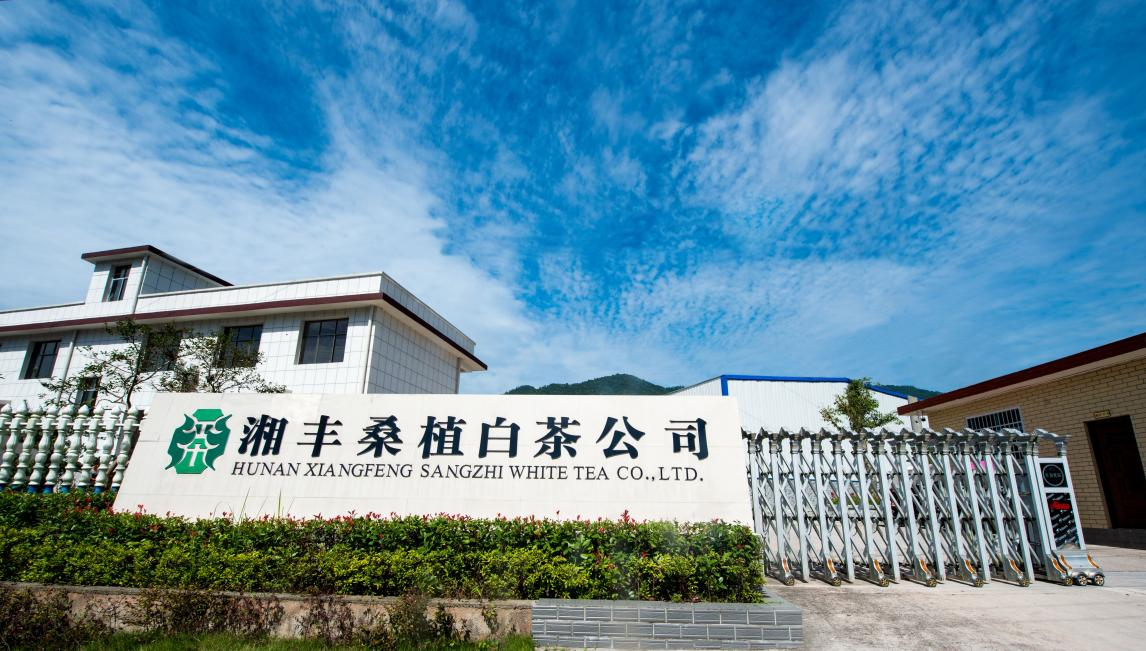 圖片6.png 圖片6.png