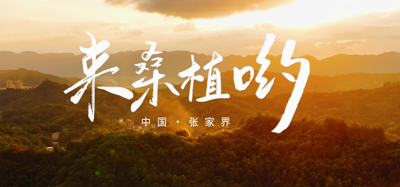 桑植推廣歌曲《來桑植喲》發布！