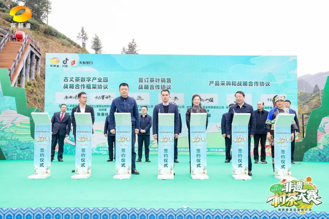 中國黃金茶之鄉·非遺村茶大賽隆重舉行！