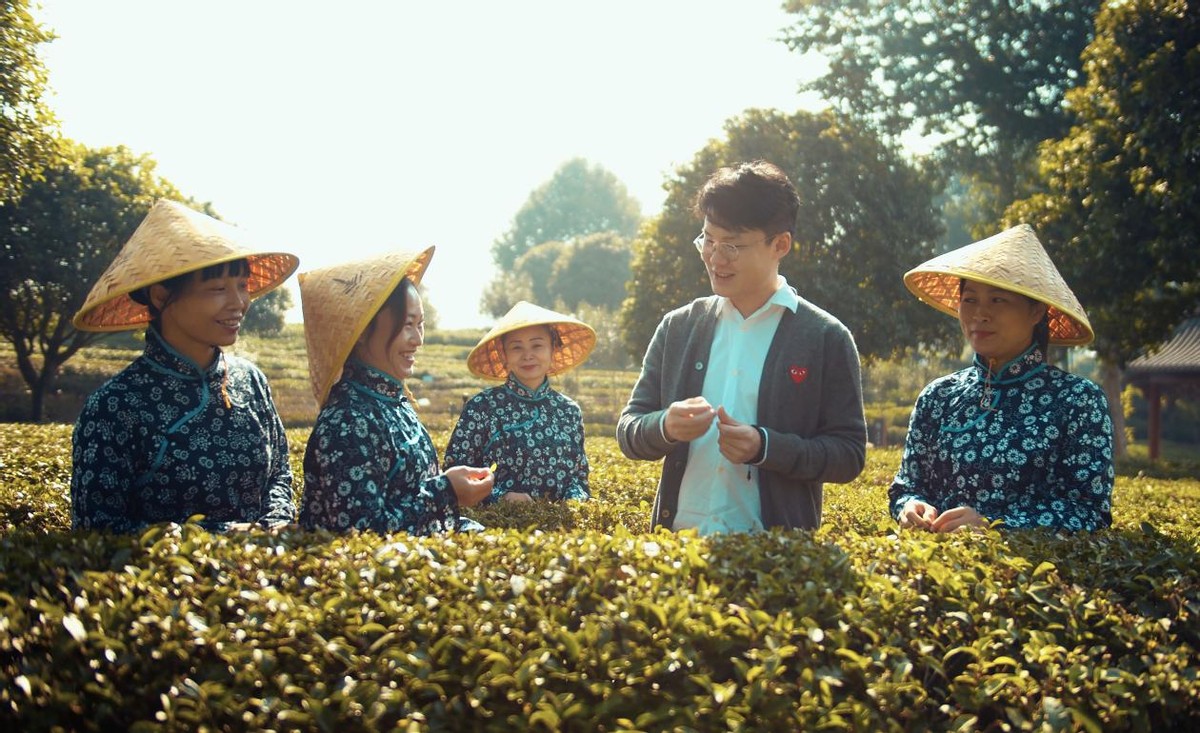 春茶飄香，一起去千年茶鄉品茗