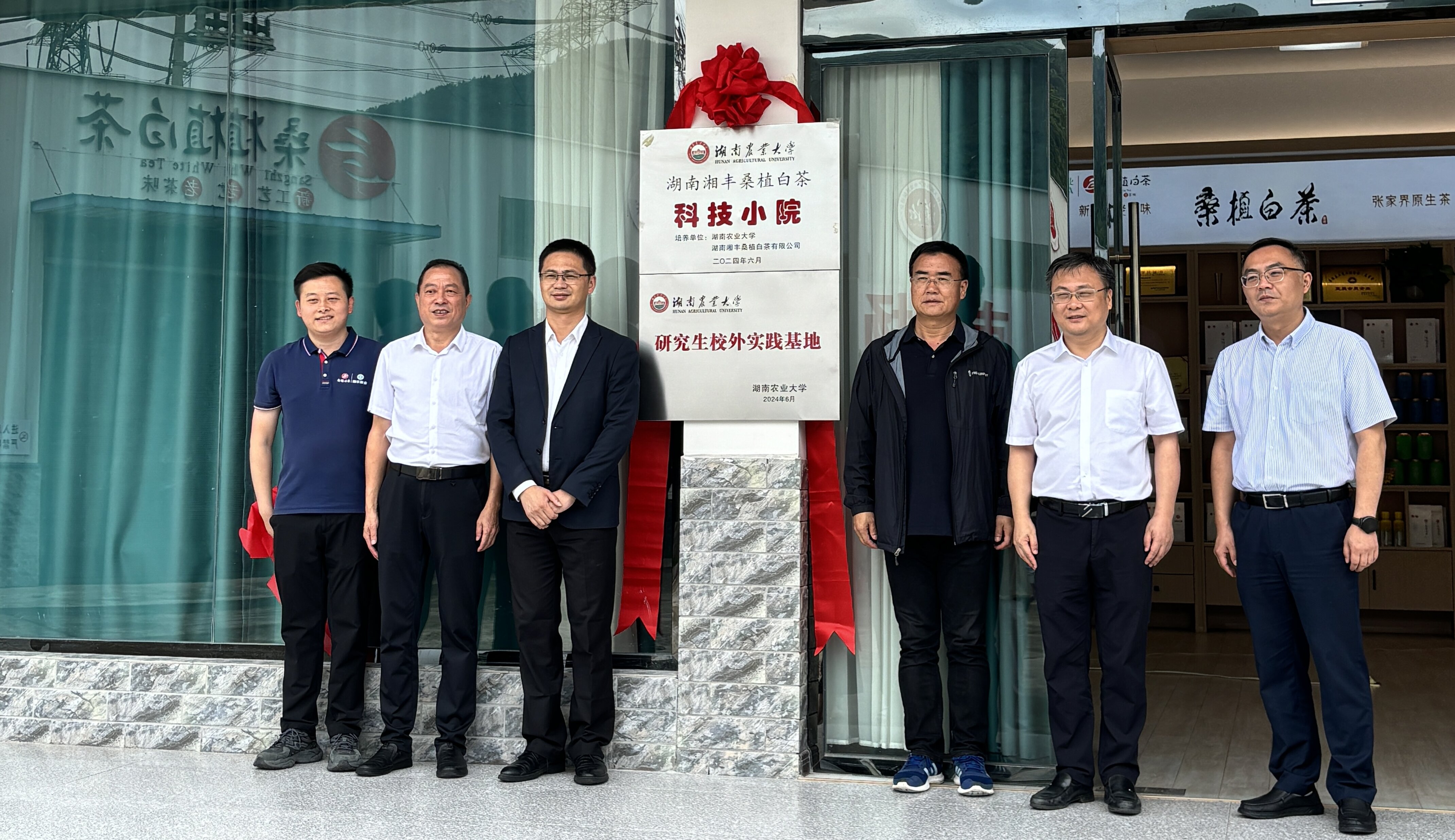 湖南湘豐桑植白茶科技小院成功揭牌 湖南湘豐桑植白茶科技小院成功揭牌