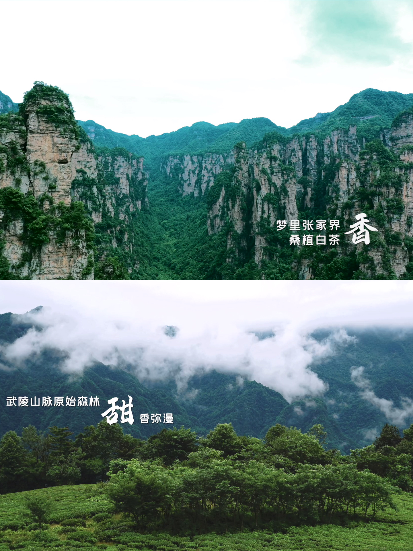 微信圖片_202310271019452.jpg 微信圖片_202310271019452.jpg