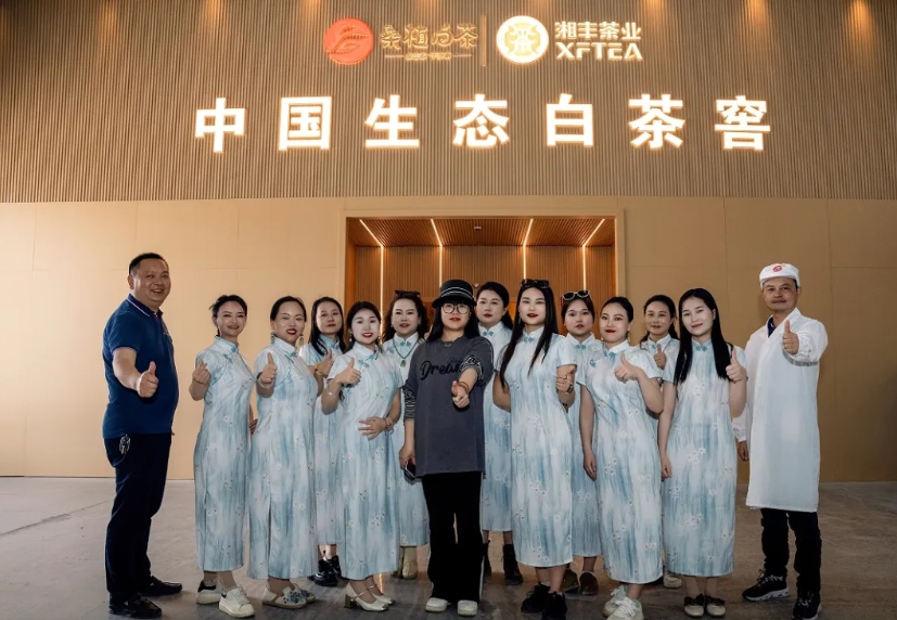 助力品牌騰飛 | 湘豐桑植白茶品宣與營銷培訓活動如期舉行 助力品牌騰飛 | 湘豐桑植白茶品宣與營銷培訓活動如期舉行